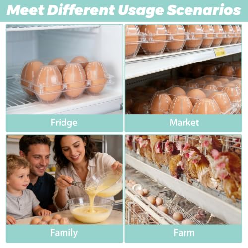 DAJAVE 100 Pack Plastic Egg Cartons Bulk, 2x3 Egg Holders Style Holds up for 6 Eggs, Half Dozen Egg Carton for Family, Pasture, Farm Markets Display(Medium)