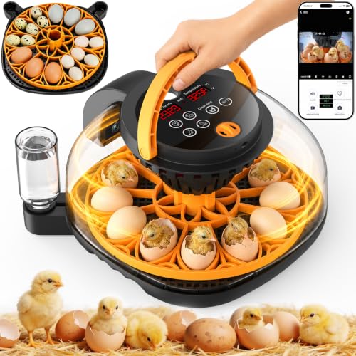 12-Egg Incubator for Hatching Chicken Eggs with WiFi Camera and Auto Turner | Built-in egg candler, temperature and humidity control, app monitoring and 8GB microSD for duck, quail and pigeon eggs.
