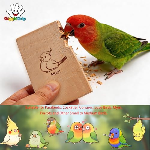 16 Pack Pine Wood Bird Chew Toys, Wood Slices for Active Chewers | Natural wood chew slices for parakeets, cockatiels, conures and lovebirds; each slice measures 3.9 x 2.1 in. - style: 16 Large Slices
