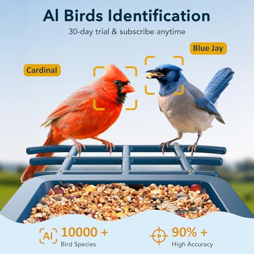 PeckCam® Bird Feeder with Camera Solar Powered 2K Live Video Auto Capture | AI Bird Species Identification, Instant App Alert, IP65 Waterproof, Easy Setup, Backyard Bird-Watching, Gift for Bird Lovers - color: Blue