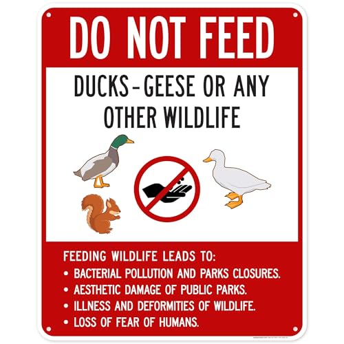 Do Not Feed Ducks Geese Or Any Other Wildlife Sign Sign, 24x30 Inches, 55 mil thick HDPS (high density polystyrene), Made in USA by My Sign Center - size: 24x30 Polystyrene