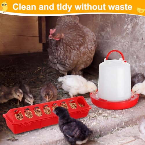 Funnymoom 12 Pack Chicken Feeder and Waterer Set Bird Small Poultry Feeder Flip Top Bird Small Poultry Feeding for Pigeon Chick Drinker Duckling Quail Feeding Dispenser (Red,8 Holes) - color: Red, style: 8 Holes