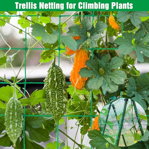 Unves Trellis Netting, 26.2 x 6.6 Ft Garden Trellis for Climbing Plants, 27 Strands & 4x4 Inch Mesh Plant Net for Tomato, Cucumber, Heavy Duty Net for Vegetables, Fruits, Grapes, Bean - size: 26.2 x 6.6 Ft
