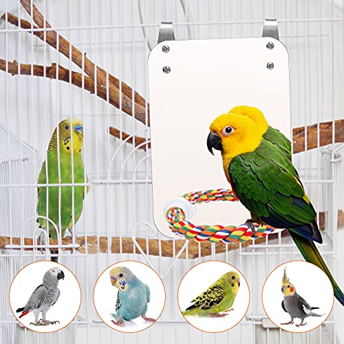 7‘’ Bird Mirror for Cage, Coolrunner Bird Parrot Mirror with Rope | for cockatiel conures, lovebirds, Parrot, canaries, and budgies - size: 7''