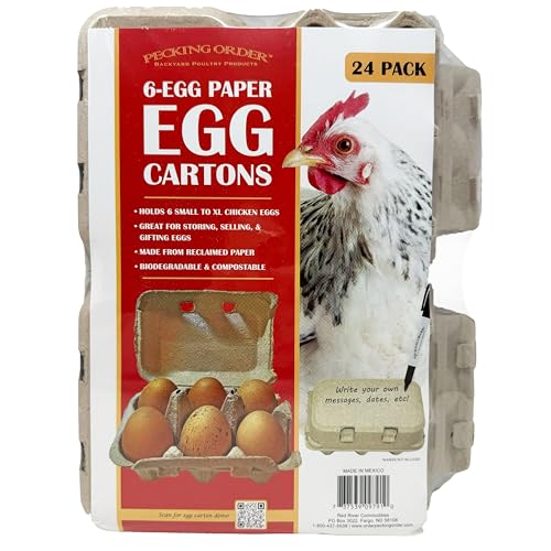 6-Egg Paper Egg Cartons - 24 Pack