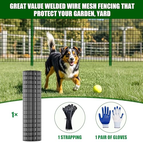 PVC Coated Welded Wire Fence 36" x 25' Roll, 2"x3" Mesh,15GA, Black | Vinyl Coated Mesh, Garden Border, Vegetable Plant Protector, Pet & Dog Enclosure, Chicken Coop Fencing, Plant Protection - size: 36in*25ft