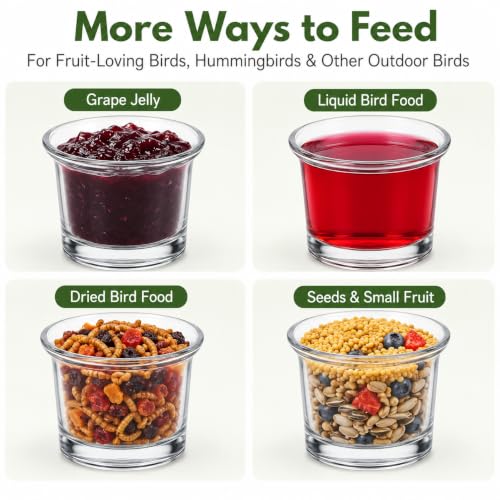 2 Pack Glass Oriole Feeder Cups, 2.44 x 1.81 x 1.89 Inch Replacement Jelly Bowls for Outdoor Feeders, Clear Dishes for Hummingbirds and Small Birds