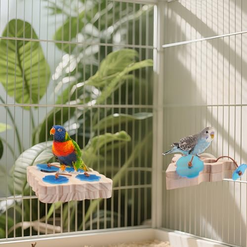 ASTIMESA 2 Packs Triangle & Square Parrot Foraging Feeder, Wooden Bird Enrichment Plaything Stand, Interactive Foraging Plaything for Birds Parakeet Pet Budgie Cockatiel Cage Feeding (Wooden)