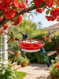 Watch Hummingbirds Up Close, 12 oz Hanging Hummingbird Feeder, Easy Fill and Clean, Leak-Proof Design for Outdoors, 9.4 Inches Tall，5 Flower-Shaped Feeding Ports and Perches