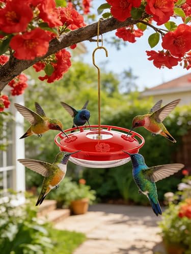 Watch Hummingbirds Up Close, 12 oz Hanging Hummingbird Feeder, Easy Fill and Clean, Leak-Proof Design for Outdoors, 9.4 Inches Tall，5 Flower-Shaped Feeding Ports and Perches