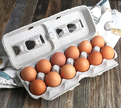 MT Products Natural Pulp Jumbo Egg Cartons 1 Dozen - Disposable Egg Storage Container (Pack of 15) - Made in the USA - size: Jumbo