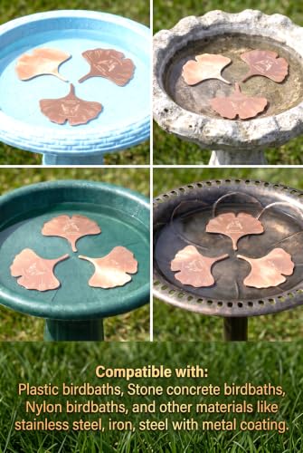 3-Pack Bird Bath Copper Disk, 99.9% 0.6mm Thick Pure Copper Bird Bath Disc | beautiful leaf design, high-quality copper material,get 3 pieces with one purchase