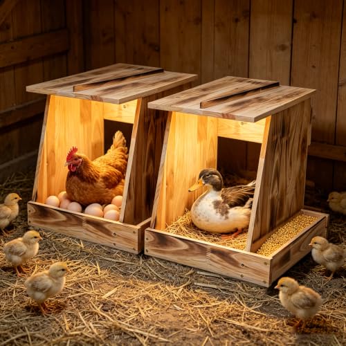 2 Pack Handcrafted Solid Wood Chicken Nesting Boxes – Outdoor Laying Box for Hens & Ducks, Easy to Mount & Clean, Perfect for Backyard Coop, Garden & Patio