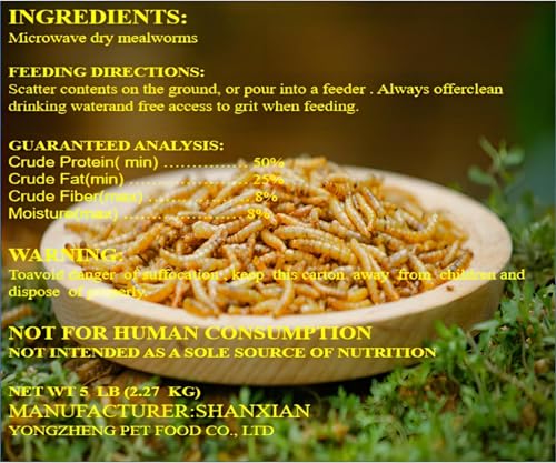 Classic Flock 5lb Dried Mealworms - High Protein Treat for Chickens & Birds | No Additives or Preservatives, Natural Chicken Worms Ideal for Ducks, Wild Birds & Bluebirds, Turtles, Fish, and Reptiles - size: 5 Pound (Pack of 1)