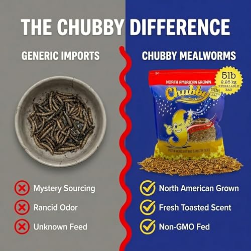 Chubby North American Grown Dried Mealworms | 5 lbs | Non-GMO High-Protein Treats for Chickens, Ducks & Wild Birds – Sustainable Chicken Feed - size: 5 Pound (Pack of 2)