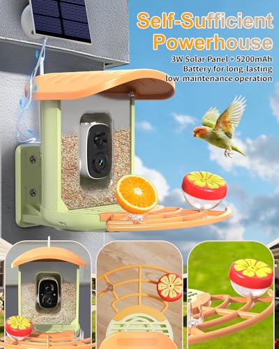 Bird Feeder with Camera, 2K HD Camera Birds Feeder with AI Bird Recognition, Solar Powered Smart Birdfeeder with App Control, Color Night Vision, Gift Box Package, Easy Install & Family Sharing - color: Green, size: Stand