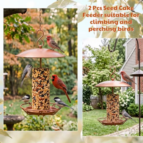 2 Pcs Cylinder Bird Feeder Outdoor Seed Cake Feeder Metal Suet Cake Holder Backyard Wild Bird Feeding Feeders for Outdoors Garden (Brown) - color: Brown