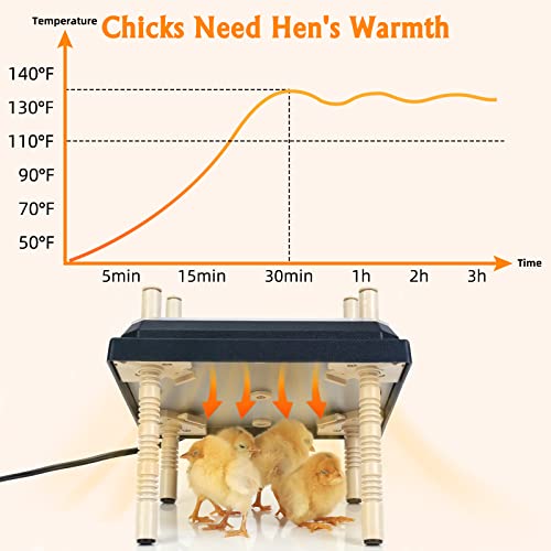 Brooder Heater for Chicks: Chick Brooder Heating Plate with Easy- Cleaning Plate Poultry Coop Heater Chicks Warmer 12" x 12" for 20 Chicks Adjustable Height Brooding Heater 22 Watts - color: Black-12x12
