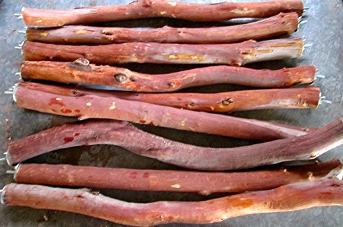 Manzanita Perches Set of Two 24" Two Feet Long