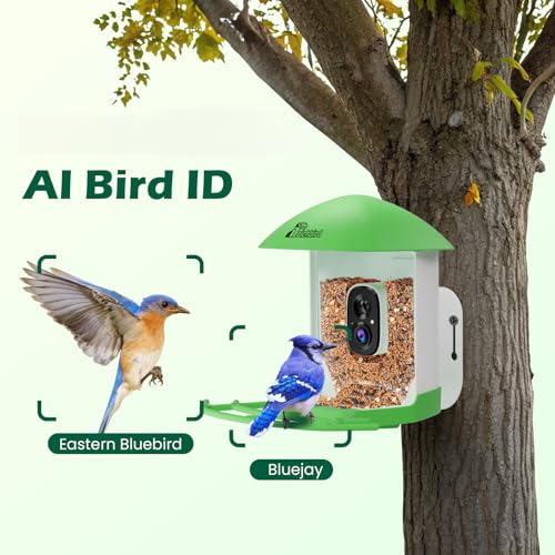 Bird Feeder with Camera, Smart Bird House with Cam for Outside, 2K HD Auto Record Video, AI Identification & Instant Alerts, Solar Powered, Bird Watching Gifts for Family and Birdlovers | 2K HD Auto Record Video, AI Identification & Instant Alerts, Solar
