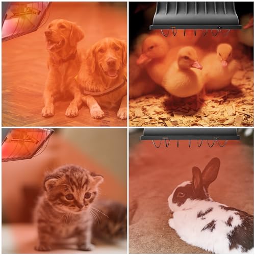 Chicken Coop Heater for Chicks,Brooder Heater with 2pcs Heat Lamp(250W and 175W),Adjustable Temp & Height Chicken Brooder Box Supplies for Chicken Livestock Dogs Sheep Pets