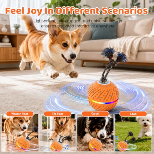 Smart Interactive Dog Toys Ball for Aggressive Chewers Medium Large,E-TPU | Auto-Moving & Bouncing Ball, 2 Modes with RGB Lights & Bird Sounds,Bite-Resistant Rope, IP54 Waterproof, Type-C Fast Charge