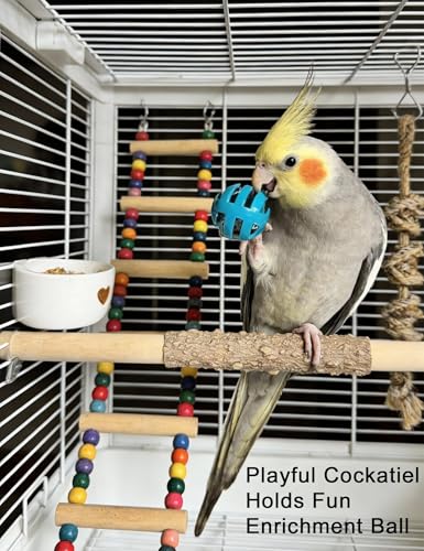 12-Pack Bird Bell Ball Chew Toys, Non-Toxic PP, Cage Enrichment | Relieve Boredom and Stress Behaviors Like Feather Plucking