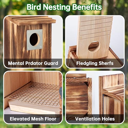 Bird Houses for Outside with Metal Predator Guard for Bluebird Wren Swallow Finch, Carbonized Wooden Nesting Boxes for Outdoor, Sturdy Bird House,Easy to Clean