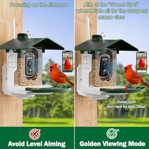 Smart Bird Feeder with Camera, Solar 2K AI Identification, Green | Dual Solar Power, 32GB SD Included, Squirrel Barrier Tray, IP65 Weatherproof, Instant Bird Alerts, 30-Day AI Cloud Trial - color: Green