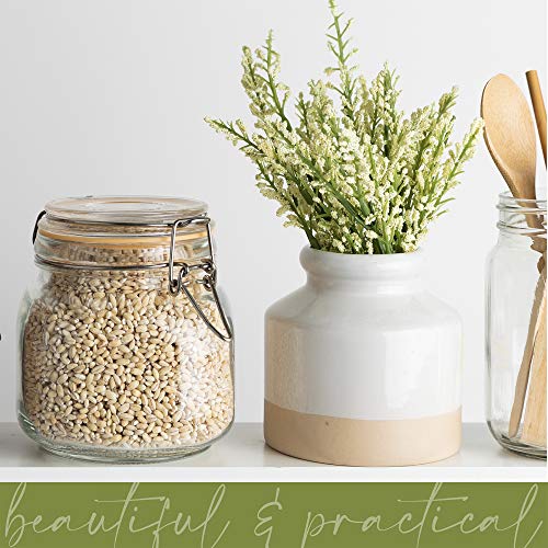 Glass Jar with Airtight Lid 24 oz | Food Storage Jar, Wide Mouth, Leak Proof Kitchen Canister - size: 24 oz
