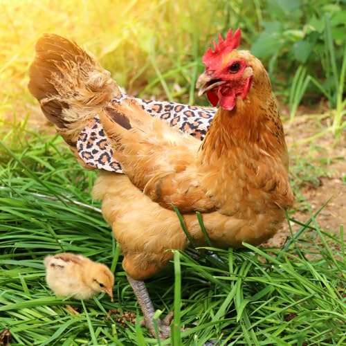 NCONCO Chicken Saddle for Hens, 5 Pack Chichen Aprons with Elastic Straps Breathable Canvas Feather Back Protector for Hens Secure Fit Poultry Accessories