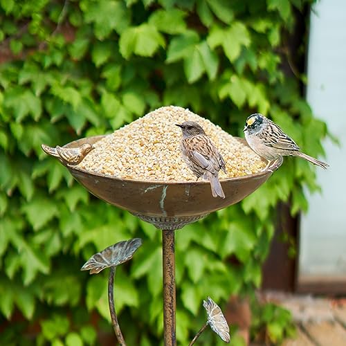 11.4" W x 28.5" H Cast Iron Pedestal Bird Bath, Bird Baths for Outdoors | Bird Bath for Outside Vintage Metal Bird Bath Garden Yard Decoration - color: Vintage Gold-A