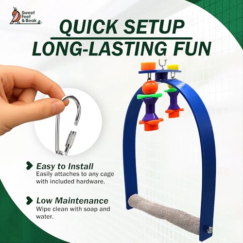 Sweet Feet and Beak Whirly Bird Swing, Large Indoor Pedicure Perch - size: Large