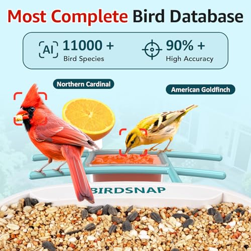 birdsnap® TUC Bird Feeder with Camera Solar Powered 2K Video with 32GB Card | AI Bird Species Identification, Squirrel-Proof, IP65 Waterproof, Outdoor Wireless, 2.4G WiFi, Gift for Mom Dad Bird Lovers - color: Light Blue