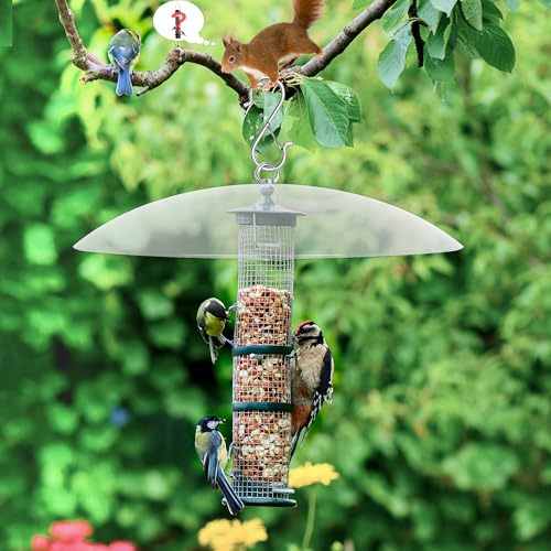 13" Bird Feeder Rain Guard, Hummingbird Feeder Shade Dome Cover, Hanging Baffle for Bird Feeder Pole,Smart Birds Feeder's Umbrella(Translucent), 1 Pack - color: Translucent, size: 13Inch / 1 Pack