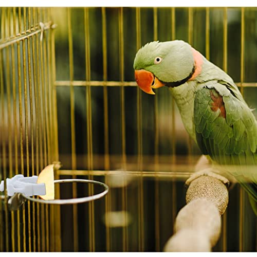 WishLotus Bird Cage Feeding Clips, 4 PCS Plastic Durable Parrot Fruit Vegetable Clips Bird Cage Food Holder Mini Birdcage Feeder for Pet Birds and Parrot Feeding Birdcage Accessories (A)