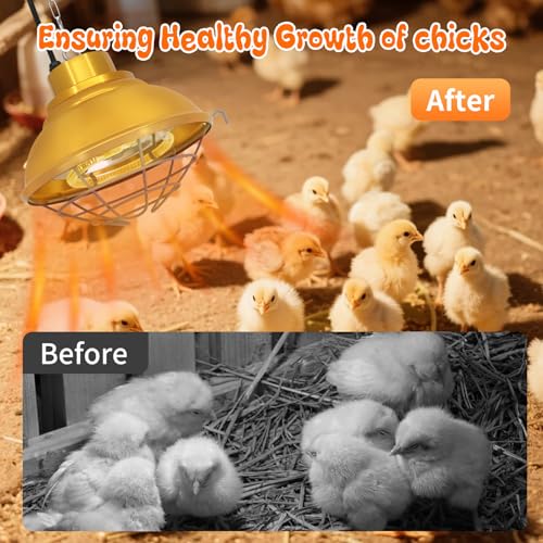 Chicken Coop Heater, 350W, Carbon Fiber Bulb, Adjustable 2-Mode | Heat Lamp for Chickens Brooder, Adjustable Hanging Height, For Chick, Puppy, Cat, Goat, Piglet