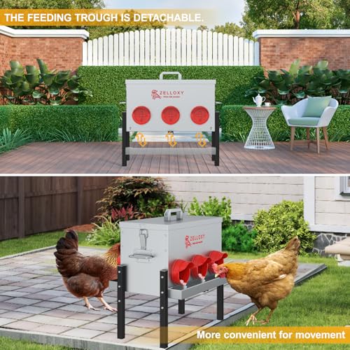 No-Waste Automatic Chicken Feeder, 30 lb Galvanized Metal Poultry Feeders with Adjustable Height, Locking Lid, Feeding Through, Feeder Box Stands for Chicks, Duck, (6 Ports)