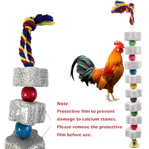 KABASI 2Pack Mineral Block Chicken Chewing Toy, Bird Beak Grinding Stone | with Bells, Chicken Coop Calcium StoneAccessories for African Grey, Budgies Cockatiels Parrot Hens Geese Ducks Hamster Rabbit