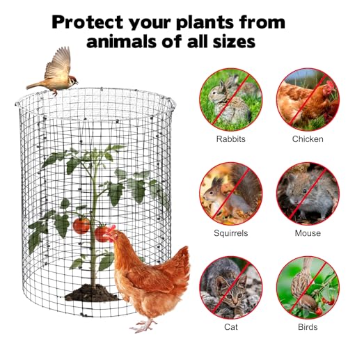 30 Pcs 24'' x 12'' Large Wire Plant Protector from Animals With Metal Cover, 10 Pack Metal Plant Cage Chicken Wire Cloche with 10Pcs Metal Covers to Keep Animals Out, Garden Protection Bunny Barricade - size: 10 Pack 24'' x 12'' with 10 Pcs 12'' Cover