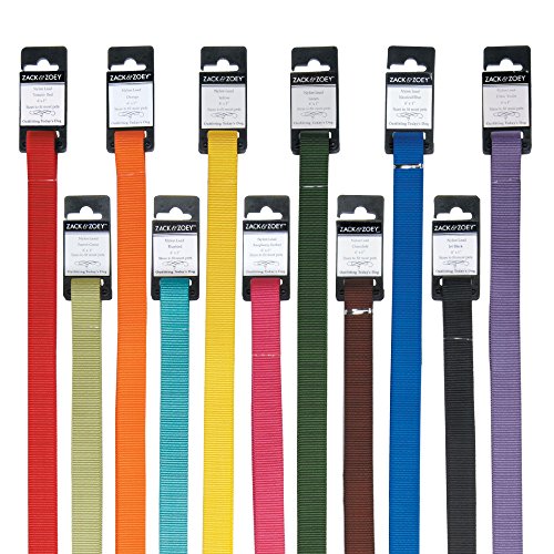 Zack & Zoey Basic Nylon Dog Leash, 4-Feet x 5/8-Inch Lead, Yellow - color: Yellow, size: 4-Feet x 5/8-Inch Lead