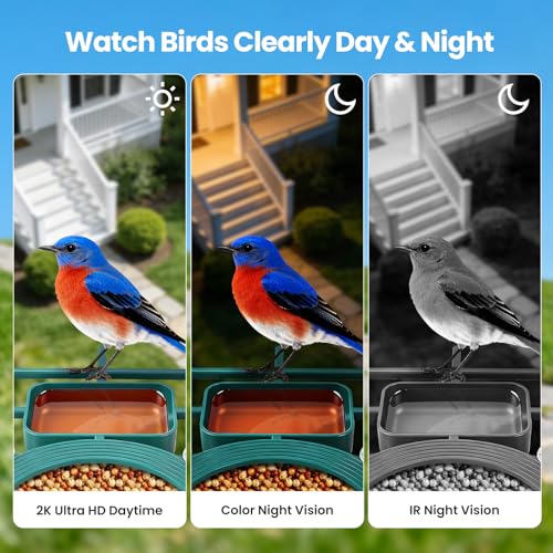 Smart Bird Feeder with Camera : 2K HD Video Live Stream, AI Birds Species Identification ＆ Instant Arrival Alerts, Solar Bird Feeder Camera for Outdoor Backyard, Ideal Gifts for Families nature lovers - color: Green
