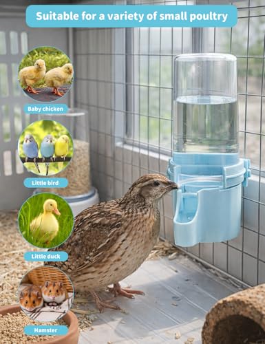 Quail Chick Waterer with Anti-Drowning Shallow Tray, 16.6 fl oz Automatic Gravity Button Quail Waterer, Hanging or Free-Standing Bird Water Dispenser for Wire Mesh Cages and Brooders (Blue) - color: Blue