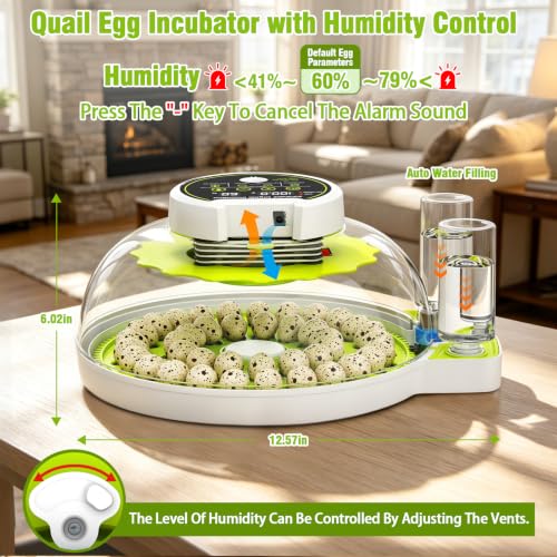Quail Egg Incubator for Hatching 40 Quail Eggs with Automatic Turner | and Humidity Control,Small Brooder, Outdoor Poultry Egg Incubator, Suitable for Parrot Canary and Other Bird - color: Green