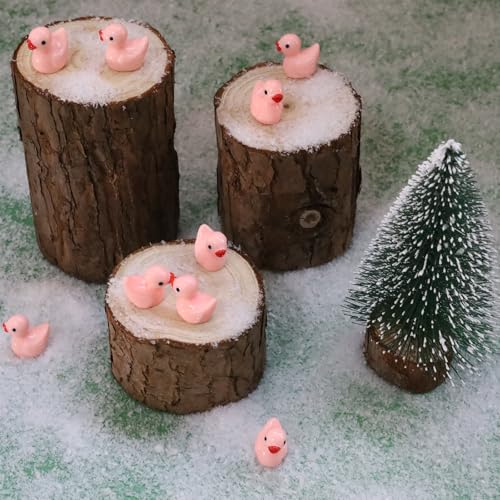100 Pcs Mini Resin Ducks Tiny Ducks Miniature Duckies Bulk Figures for Garden Micro Landscape Home Prank Game Micro Landscape Aquarium Dollhouse Ornament DIY Handmade School (Pink) - color: Pink