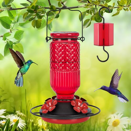 Glass Hummingbird Feeder for Outdoors Hanging, 16 oz Leak-Proof Nectar Feeder with Bee Guards & Ant Moat, 4 Metal Flower Feeding Ports, 360° Perch Ring, Easy Refill & Clean, Red - color: Red