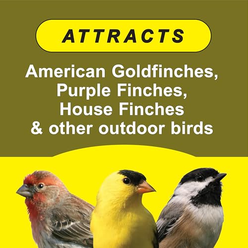 Wild Delight Advanced Formula Special Finch Food Wild Bird Seed Mix, 5lbs - size: 5 Pound (Pack of 1), style: Special Finch 5lb