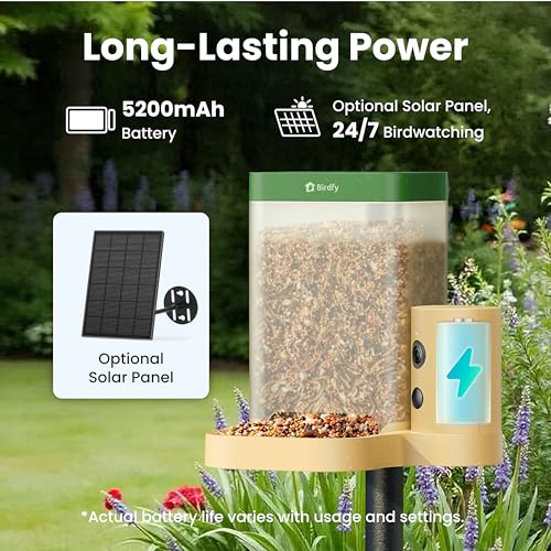 Bird Feeder with Camera for Rookie - Solar Powered Outdoor Bird Feeder with Dual Night Vision, AI Recognition, Slow Motion & IP66 Waterproof, Ideal for BirdLovers (Lifetime Free AI) - style: Lifetime Free AI