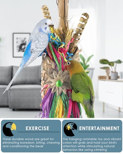 Bissap Bird Chew Toys, Parrot Foraging Shredder Natural Palm Frond Woven Bag Hanging Cage Toy with Chewing Treats for Conure Budgie Cockatiel Cockatoos and Similar Sized Pet Birds - style: Bag