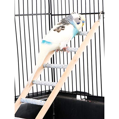 Penn-Plax Bird-Life Trimmer Plus Cement & Wood 9 Step Ladder – Cement Made from Crushed Sea Shells – Great for Small Birds (BA243)